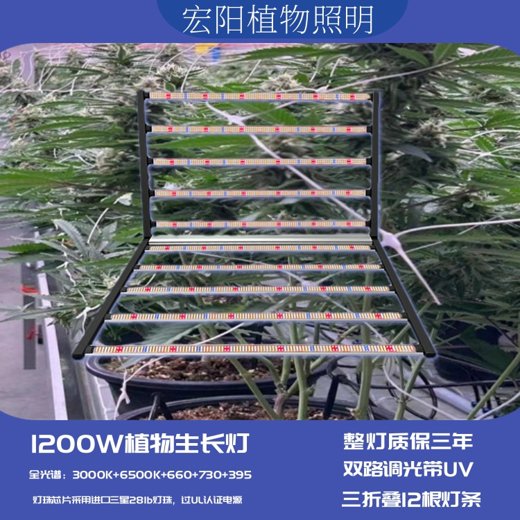 植物生长灯厂家直销1000W八爪鱼植物补光灯 出口泰国植物农场麻药种植灯